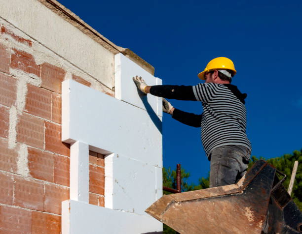 Best Residential Insulation in Ozark, AL