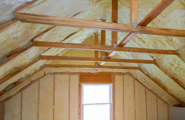 Best Residential Insulation in Ozark, AL
