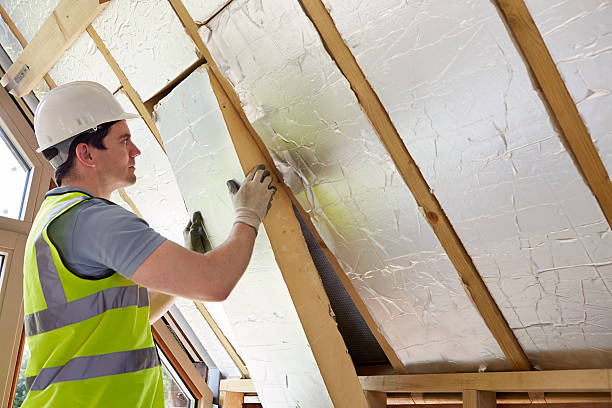 Best Residential Insulation in Ozark, AL