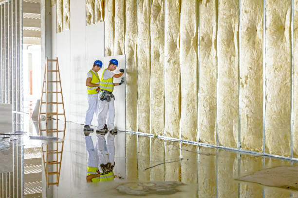 Best Types of Insulation in Ozark, AL